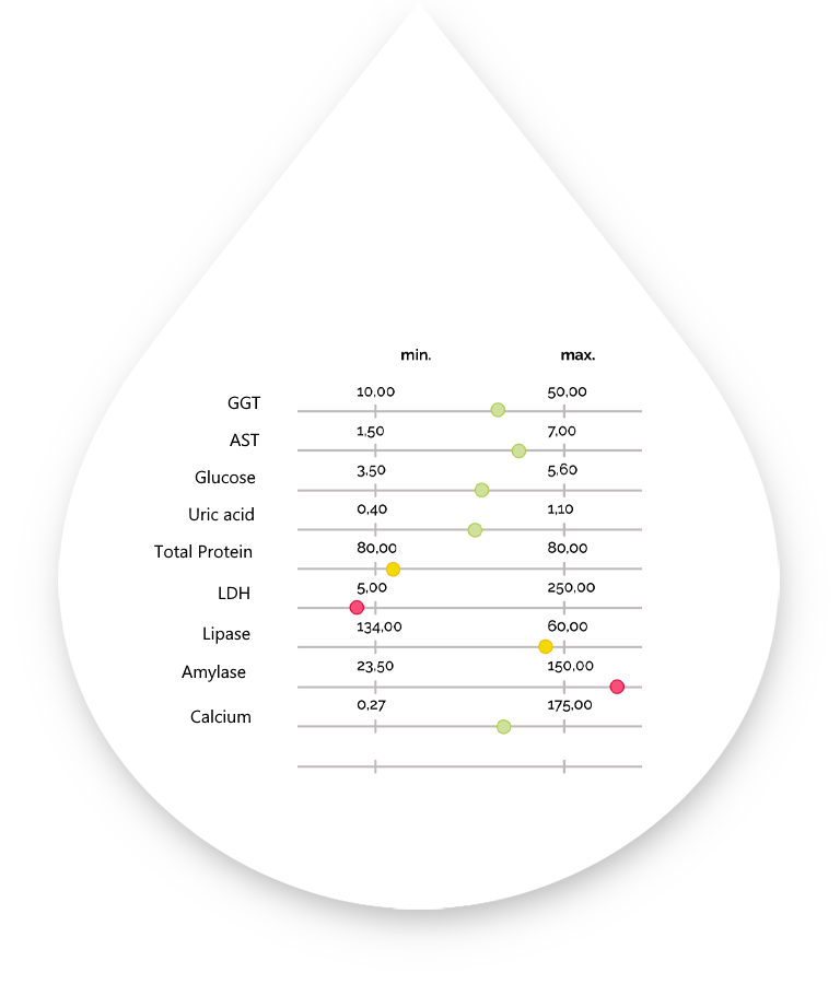 Metabolic Balance Ernährungsplan